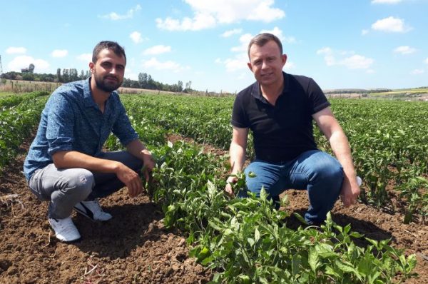 İBB DESTEĞİ ÇİFTÇİNİN YÜZÜNÜ GÜLDÜRÜYOR